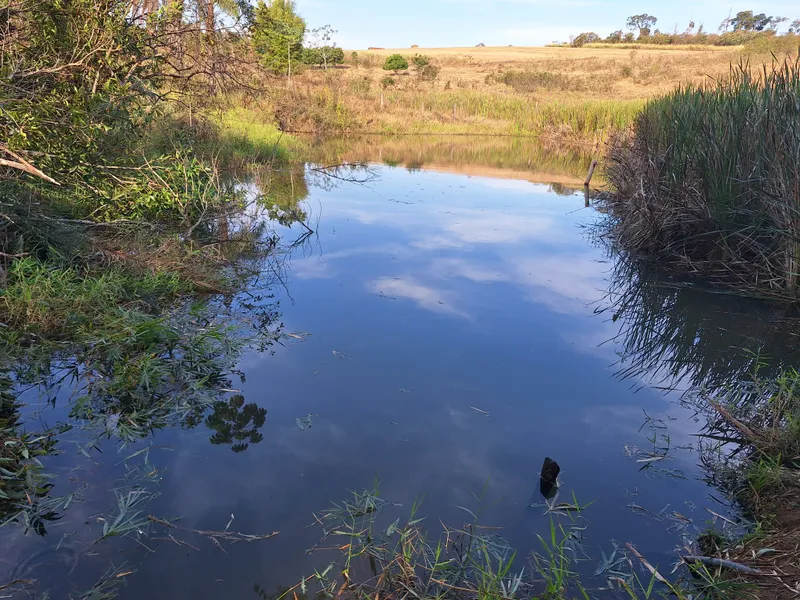 Chácara em Itapira/São Paulo — Ref F1YBMS — Imagem 44