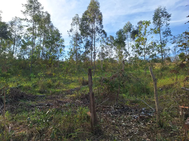 Chácara em Itapira/São Paulo — Ref F1YBMS — Imagem 46