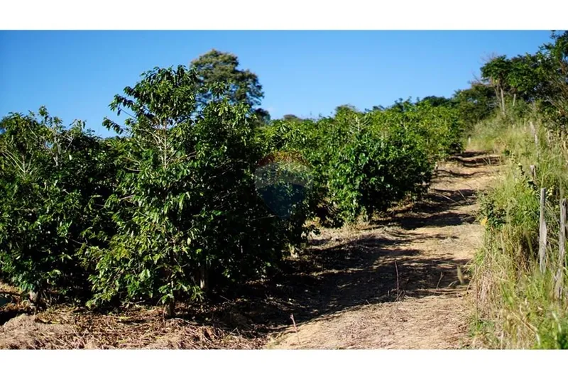 Sítio em Serra Negra/São Paulo — Ref 5G3JL8 — Imagem 2