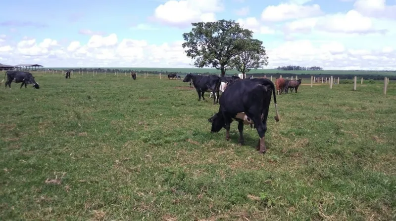 Fazenda em Campo Verde/Mato Grosso — Ref AZ3L8E — Imagem 8
