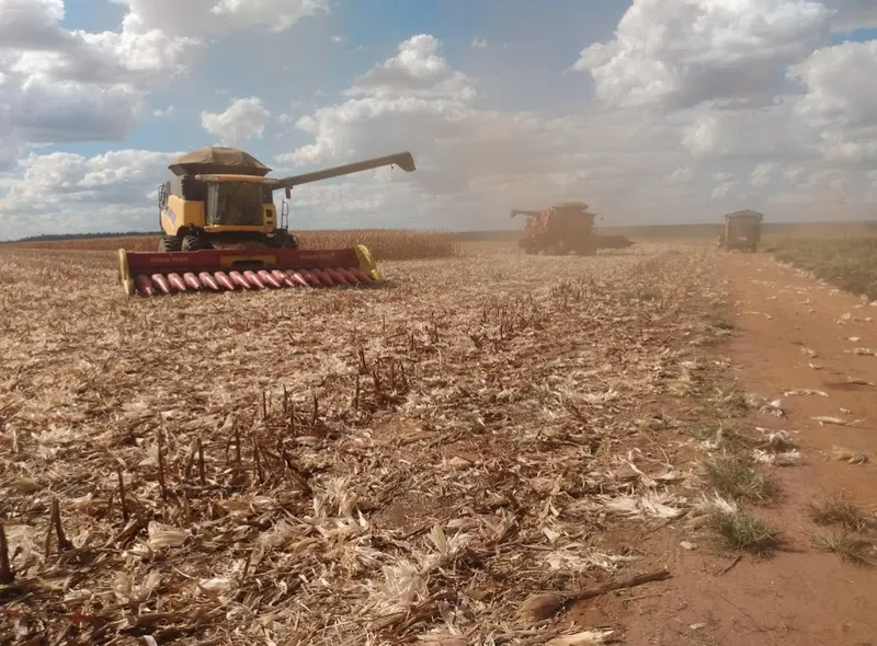 Fazenda em Campo Verde/Mato Grosso — Ref AZ3L8E — Imagem 6
