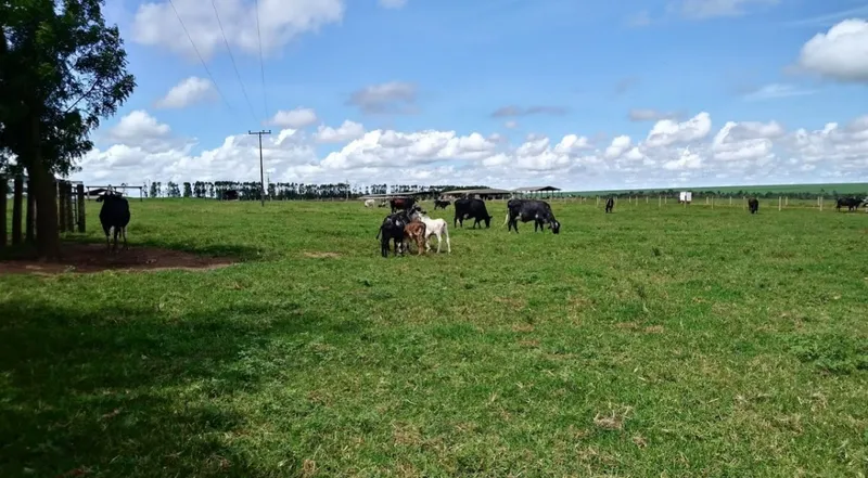 Fazenda em Campo Verde/Mato Grosso — Ref AZ3L8E — Imagem 10