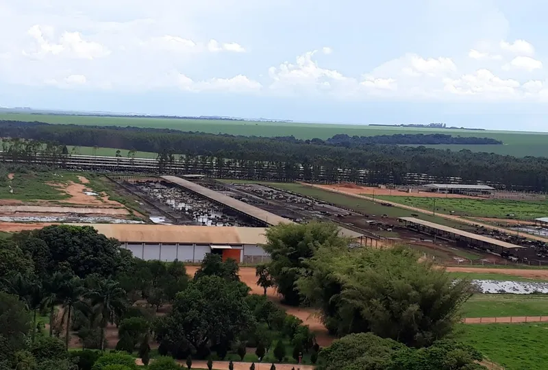 Fazenda em Campo Verde/Mato Grosso — Ref AZ3L8E — Imagem 16