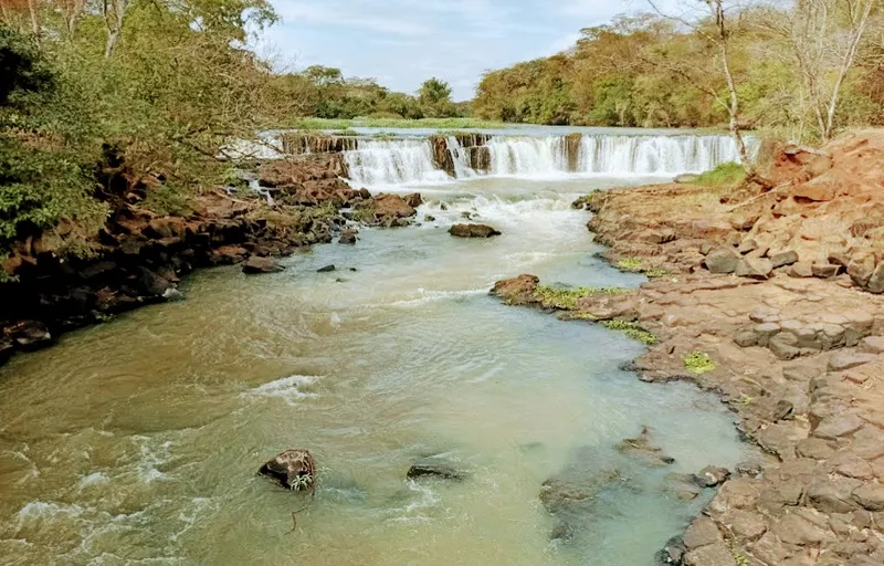 Fazenda em Santa Fé do Araguaia/Tocantins — Ref 1R3OFJ — Imagem 5