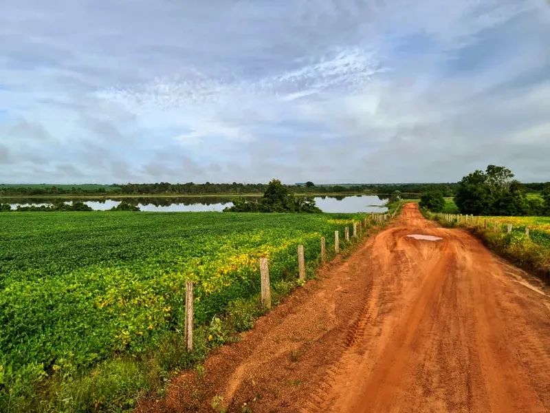 Fazenda em Santa Fé do Araguaia/Tocantins — Ref 1R3OFJ — Imagem 8