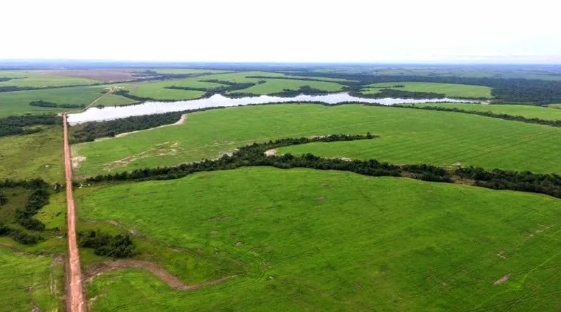 Fazenda em Santa Fé do Araguaia/Tocantins — Ref 1R3OFJ — Imagem 6