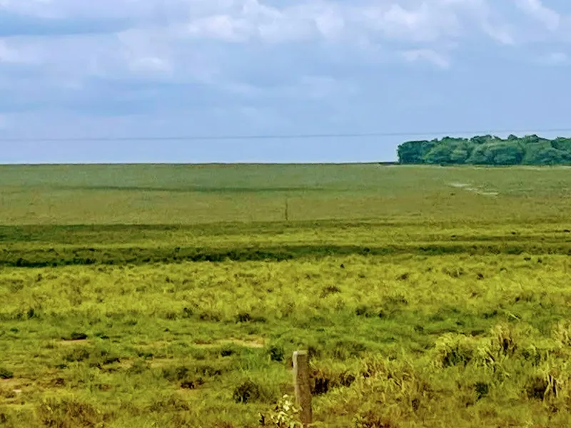 Fazenda em Santa Fé do Araguaia/Tocantins — Ref 1R3OFJ — Imagem 29