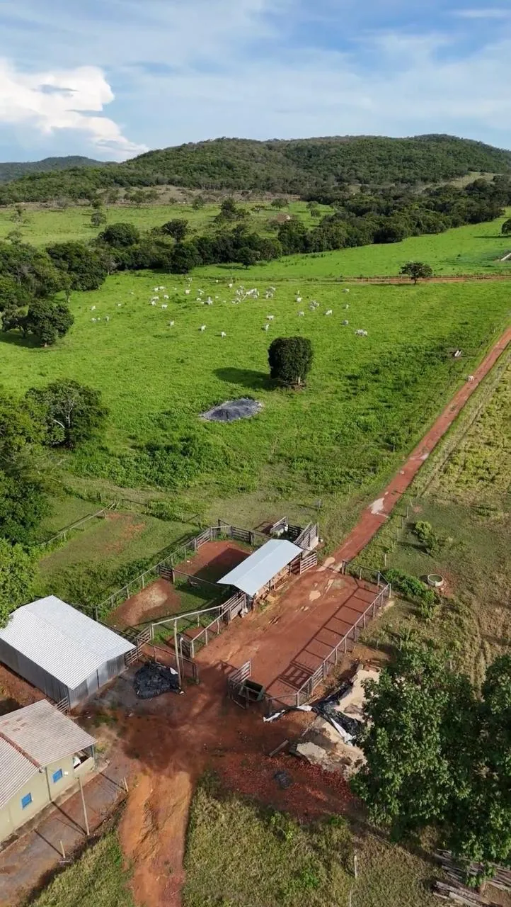 Fazenda em Unaí/Minas Gerais — Ref 4TC5IR — Imagem 5