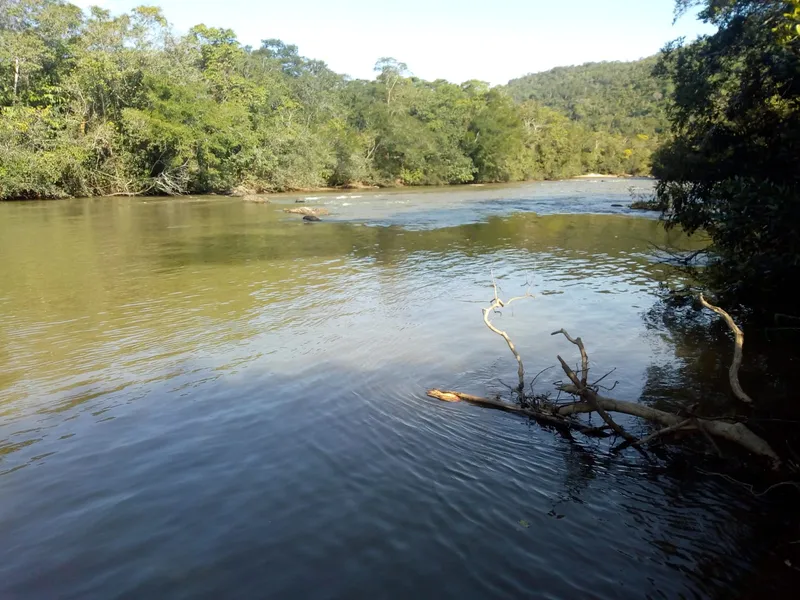 Fazenda em Santa Cruz de Goiás/Goiás — Ref H93S1F — Imagem 3
