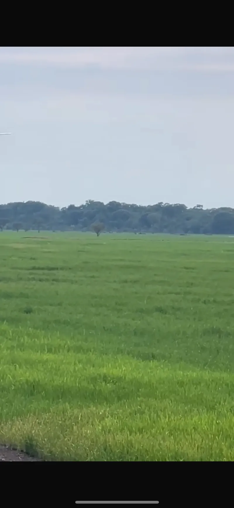 Fazenda em Pium/Tocantins — Ref J5OHMM — Imagem 3