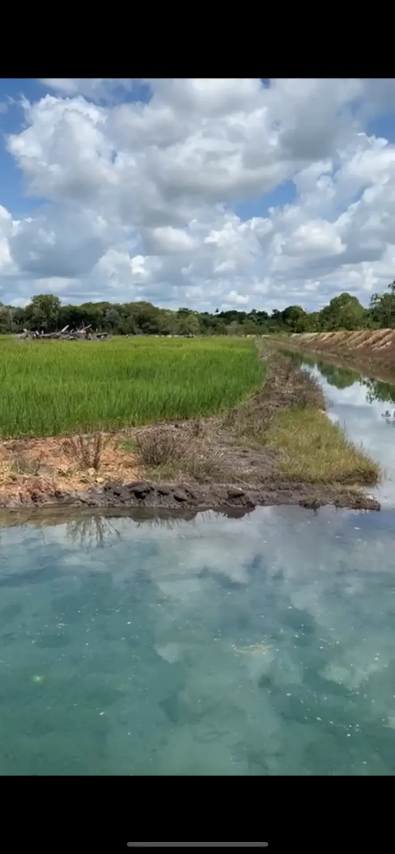 Fazenda em Pium/Tocantins — Ref J5OHMM — Imagem 2