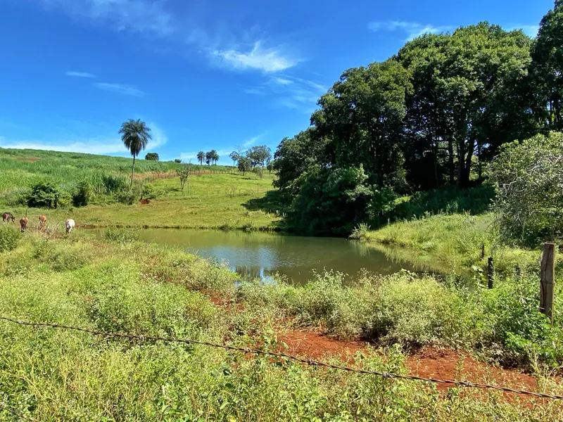 Sítio em Brodowski/São Paulo — Ref 0ALYHL — Imagem 23