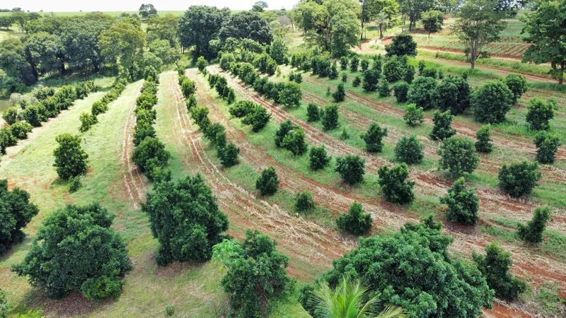 Sítio em Brodowski/São Paulo — Ref 0ALYHL — Imagem 31