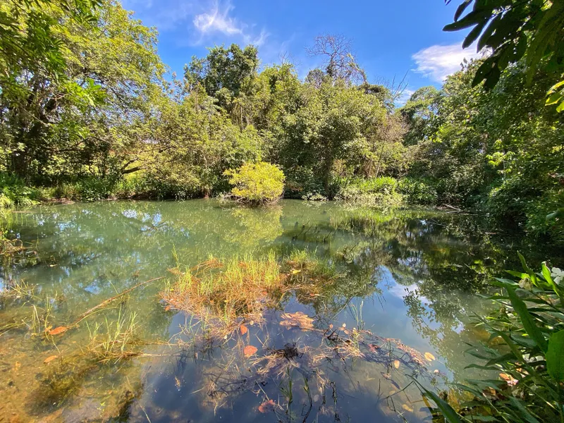 Sítio em Brodowski/São Paulo — Ref 0ALYHL — Imagem 40