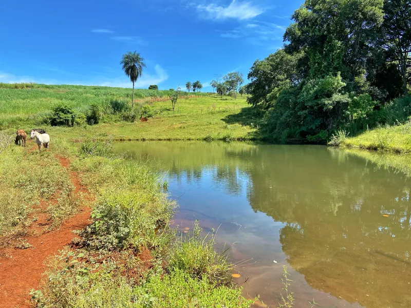 Sítio em Brodowski/São Paulo — Ref 0ALYHL — Imagem 48