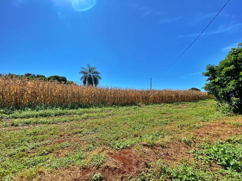Sítio em Brodowski/São Paulo — Ref 0ALYHL — Imagem 50