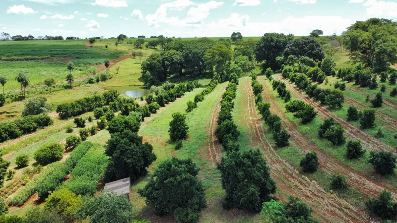 Sítio em Brodowski/São Paulo — Ref 0ALYHL — Imagem 61