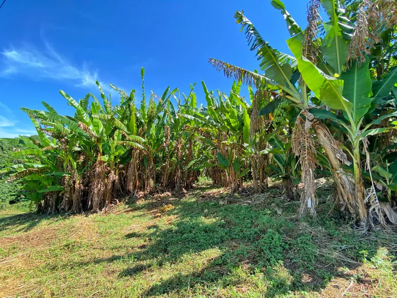 Sítio em Brodowski/São Paulo — Ref 0ALYHL — Imagem 65