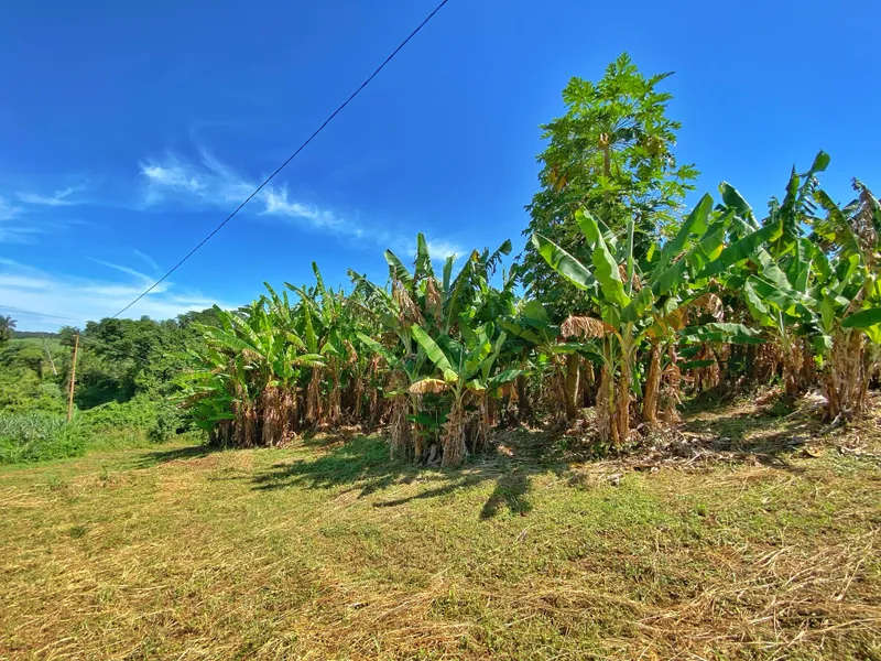 Sítio em Brodowski/São Paulo — Ref 0ALYHL — Imagem 66