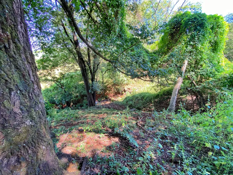 Sítio em Brodowski/São Paulo — Ref 0ALYHL — Imagem 68