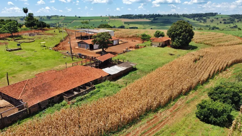 Sítio em Brodowski/São Paulo — Ref 0ALYHL — Imagem 69