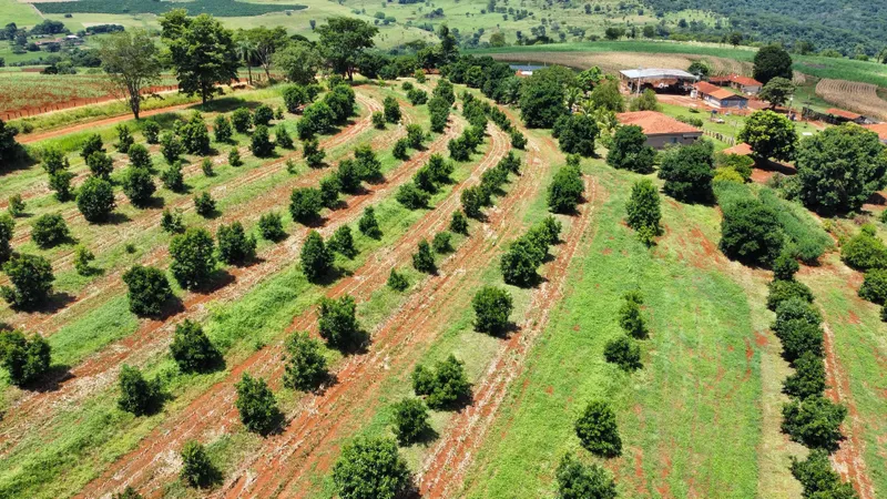Sítio em Brodowski/São Paulo — Ref 0ALYHL — Imagem 72