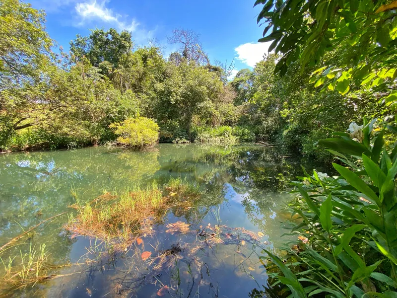Sítio em Brodowski/São Paulo — Ref 0ALYHL — Imagem 82