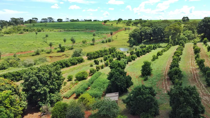 Sítio em Brodowski/São Paulo — Ref 0ALYHL — Imagem 86