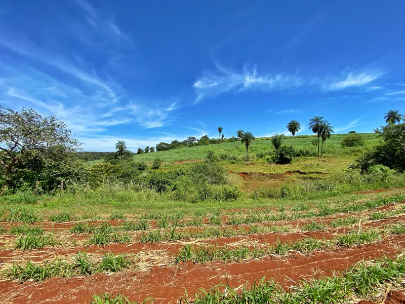 Sítio em Brodowski/São Paulo — Ref 0ALYHL — Imagem 94