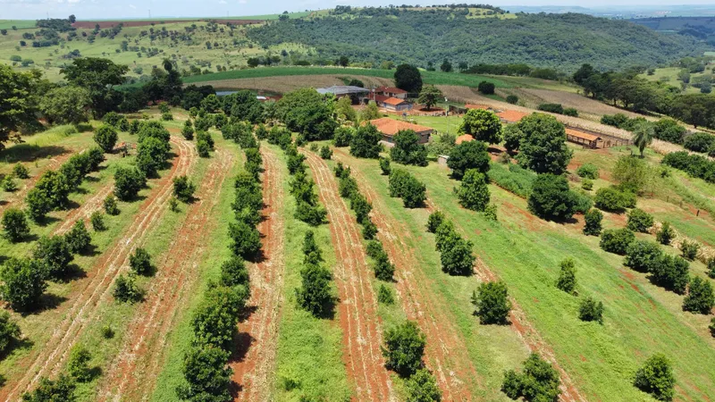 Sítio em Brodowski/São Paulo — Ref 0ALYHL — Imagem 98
