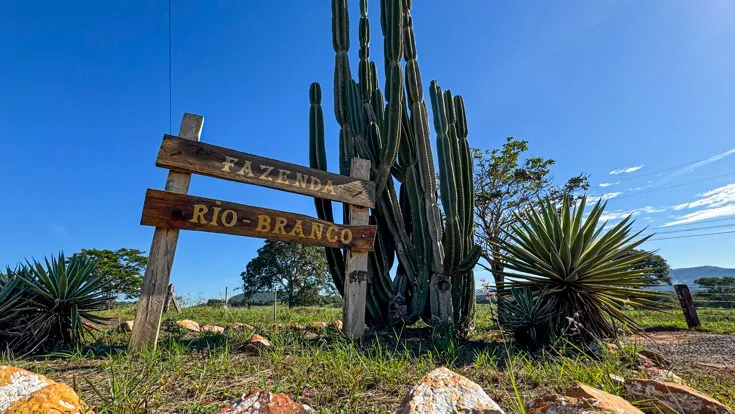 Fazenda em Rifaina/São Paulo — Ref VUQVAH — Imagem 5