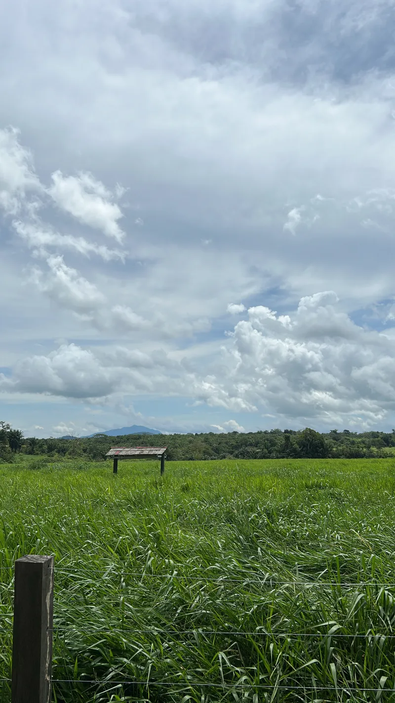 Fazenda em Cantá/Roraima — Ref TPH8O0 — Imagem 2