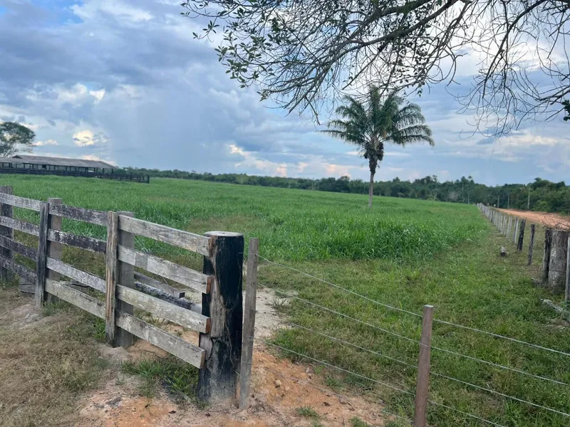 Fazenda em Cantá/Roraima — Ref TPH8O0 — Imagem 16