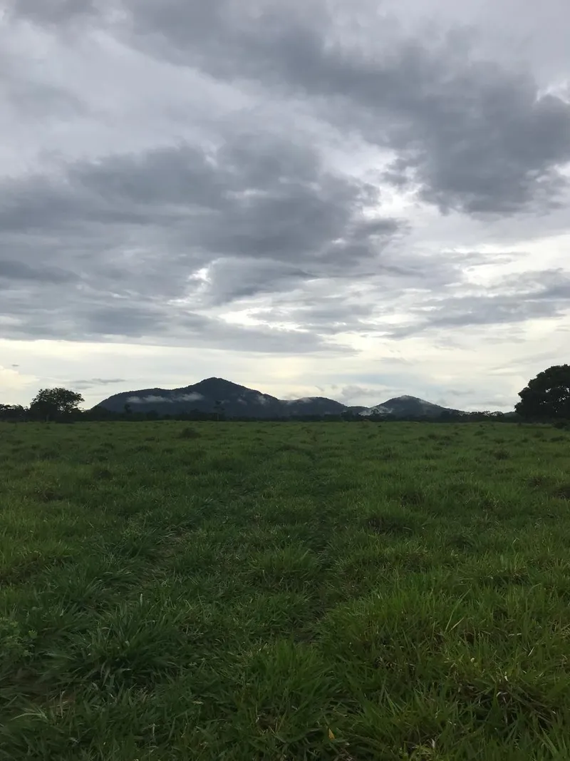 Fazenda em Cantá/Roraima — Ref TPH8O0 — Imagem 3