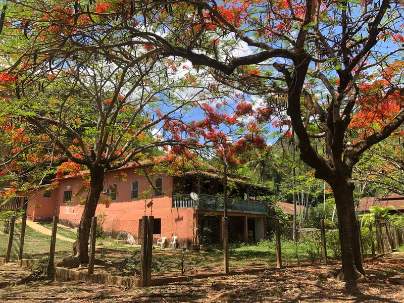 Fazenda em Rio Casca/Minas Gerais — Ref KA4FR3 — Imagem 1
