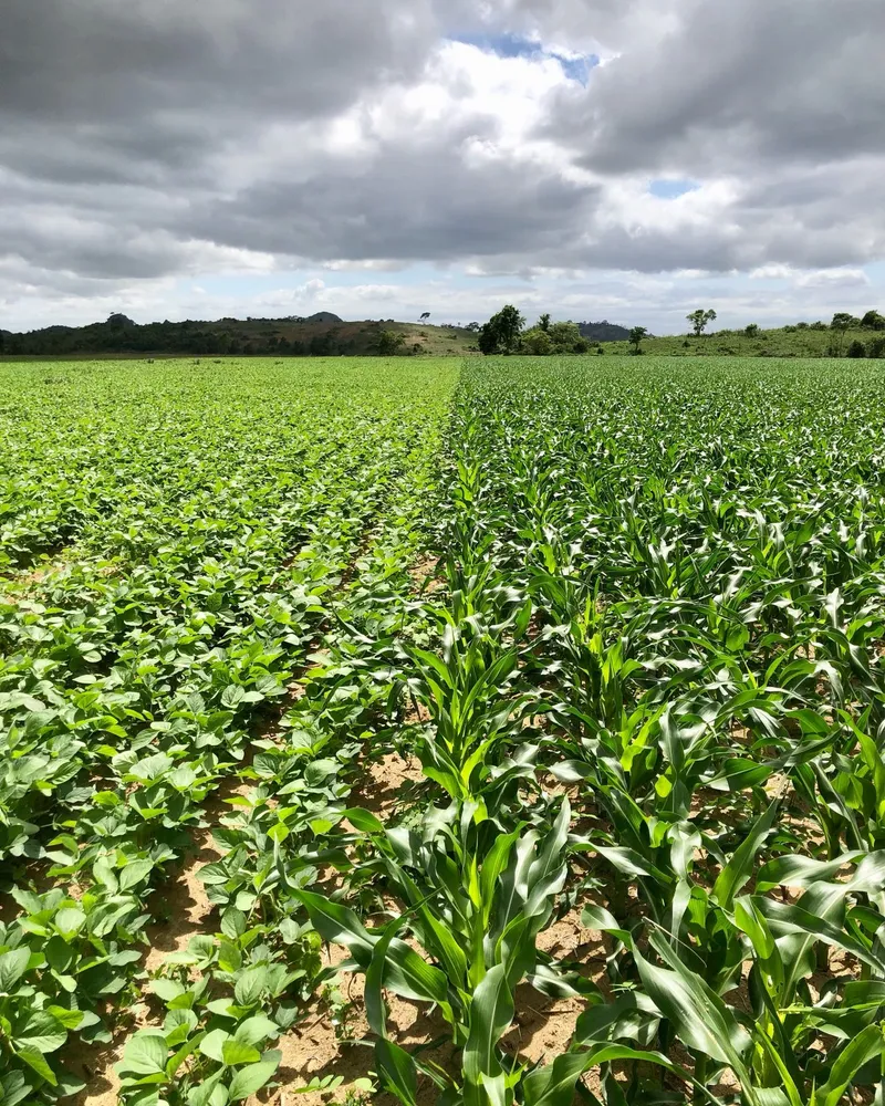 Fazenda em Rio Casca/Minas Gerais — Ref KA4FR3 — Imagem 25