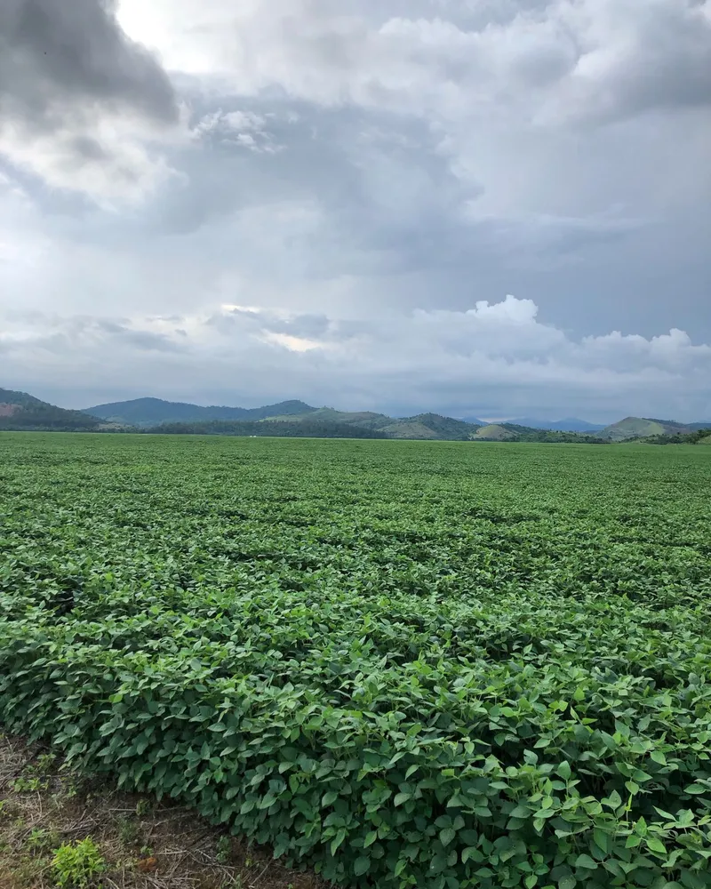 Fazenda em Rio Casca/Minas Gerais — Ref KA4FR3 — Imagem 26