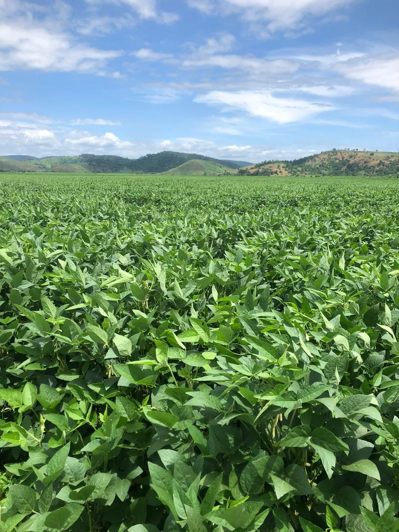 Fazenda em Rio Casca/Minas Gerais — Ref KA4FR3 — Imagem 16
