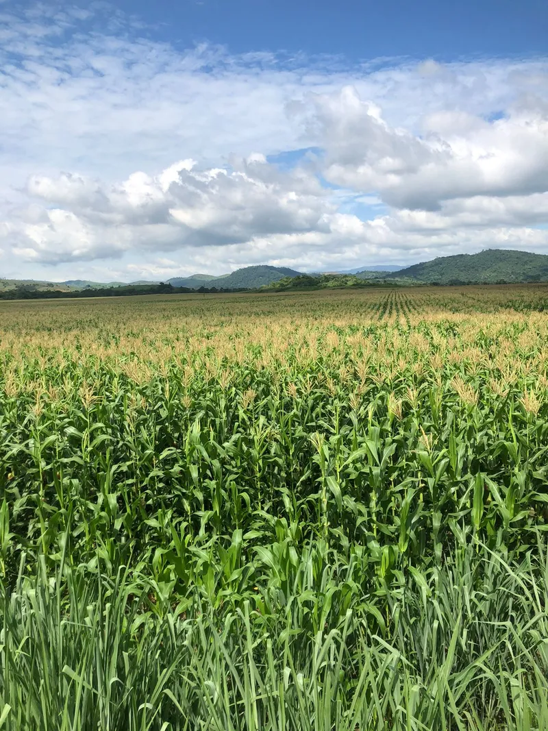 Fazenda em Rio Casca/Minas Gerais — Ref KA4FR3 — Imagem 17