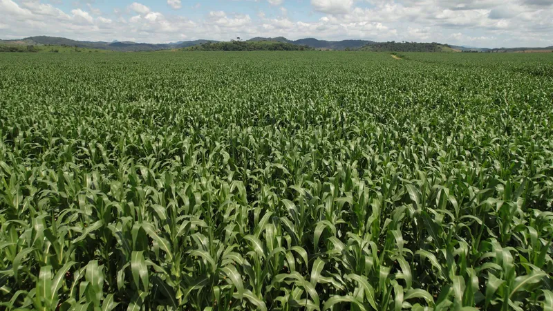Fazenda em Rio Casca/Minas Gerais — Ref KA4FR3 — Imagem 23