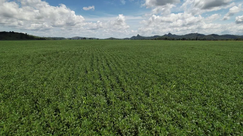 Fazenda em Rio Casca/Minas Gerais — Ref KA4FR3 — Imagem 24