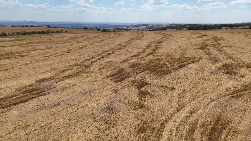 Fazenda em Piracanjuba/Goiás — Ref RLZJJM — Imagem 2