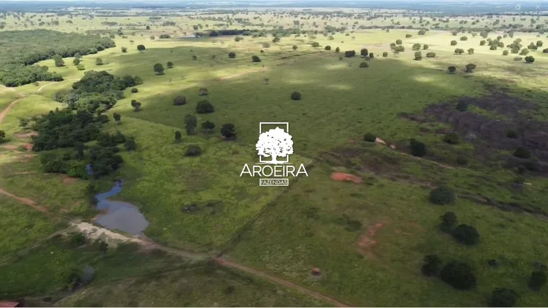 Fazenda em Mundo Novo/Goiás — Ref S1IQ8O — Imagem 35