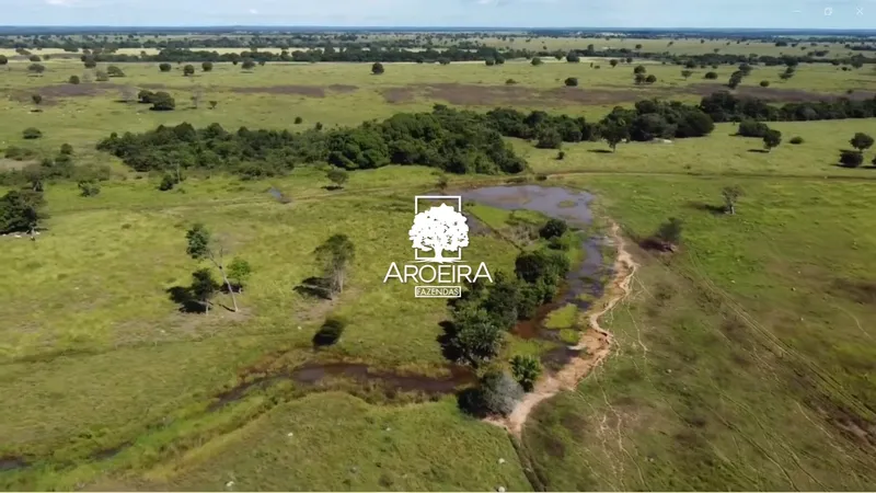 Fazenda em Mundo Novo/Goiás — Ref S1IQ8O — Imagem 37