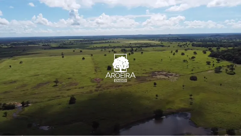 Fazenda em Mundo Novo/Goiás — Ref S1IQ8O — Imagem 40