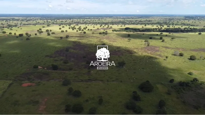 Fazenda em Mundo Novo/Goiás — Ref S1IQ8O — Imagem 43