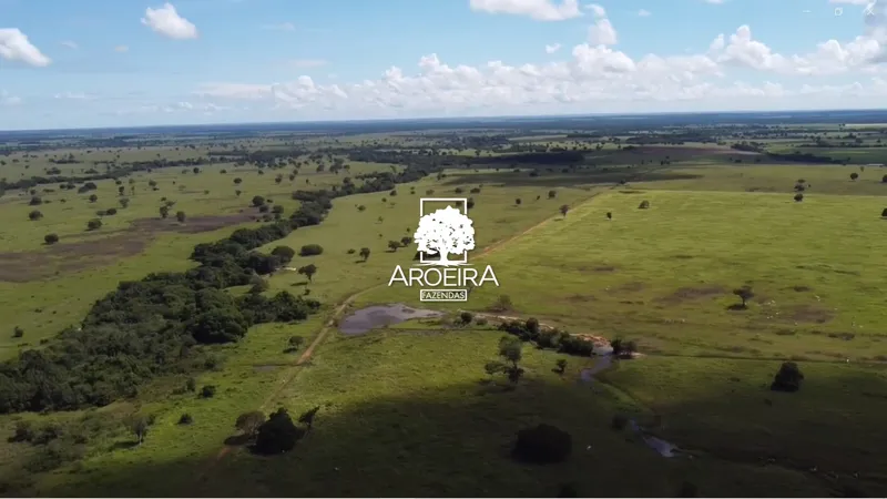 Fazenda em Mundo Novo/Goiás — Ref S1IQ8O — Imagem 45