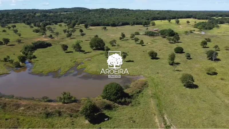 Fazenda em Mundo Novo/Goiás — Ref S1IQ8O — Imagem 46