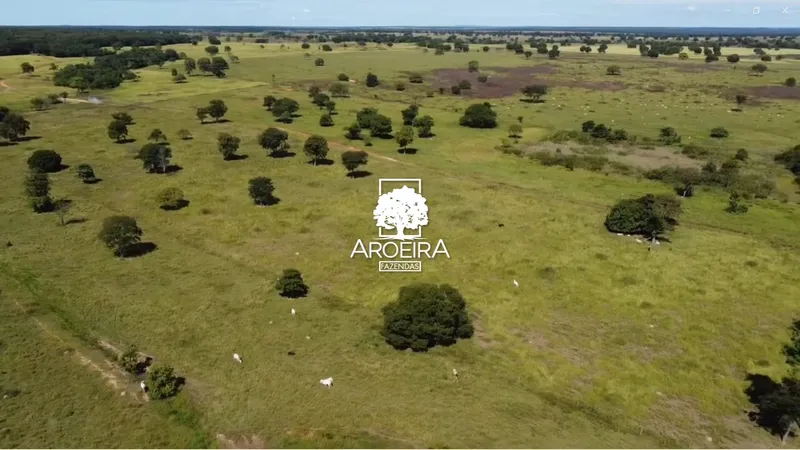 Fazenda em Mundo Novo/Goiás — Ref S1IQ8O — Imagem 52