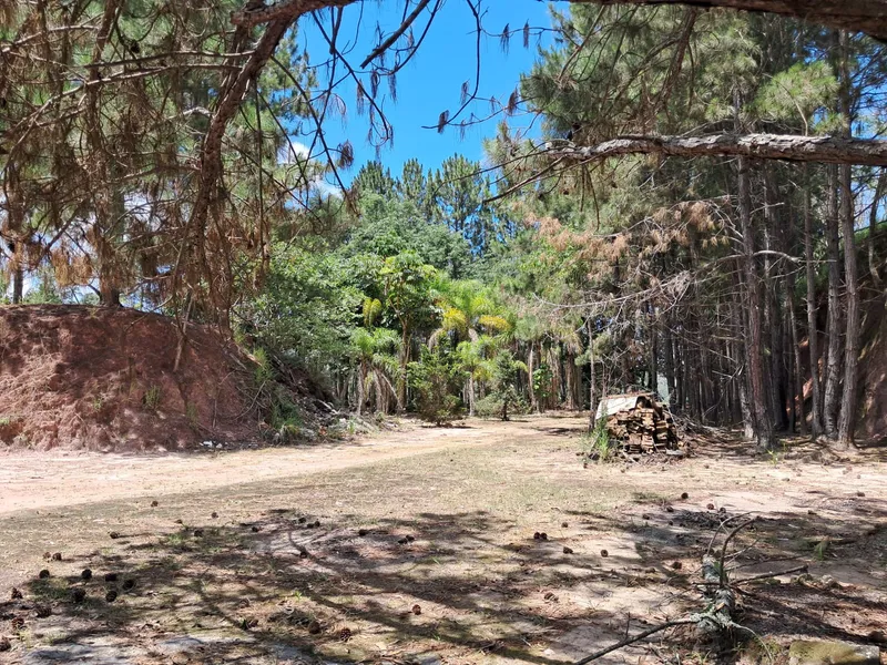 Sítio em Salesópolis/São Paulo — Ref HBW8ZZ — Imagem 12